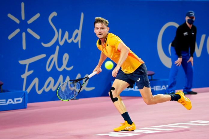 ATP Montpellier David Goffin Lorenzo Sonego ATP Montpellier David Goffin