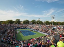 tennis in tv