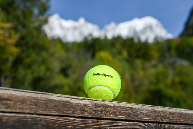 foto 8 pallina da gioco e il monte bianco
